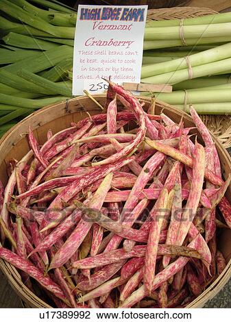 Stock Image -  Montpelier, VT, Vermont, Farmer's Market, Shell Beans, Vermont Cranberry. Fotosearch