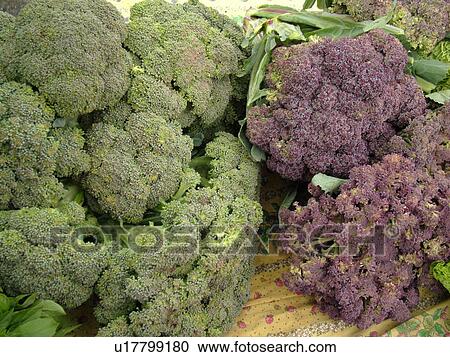 Stock Image -  Montpelier, VT, Vermont, Farmer's Market, broccoli. Fotosearch