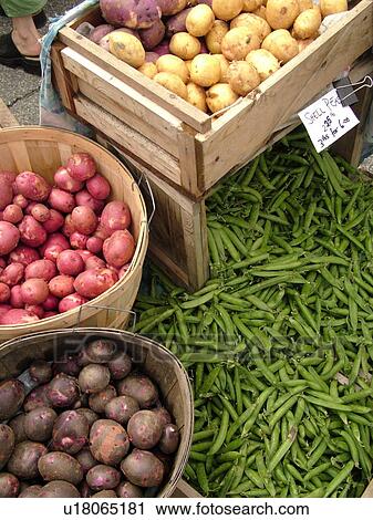 Montpelier, VT, Vermont, Farmer's Market, Potatoes, Shell Peas View Large Photo Image Stock Image - Montpelier, VT, Vermont, Farmer's Market, Potatoes, Shell Peas. Fotosearch