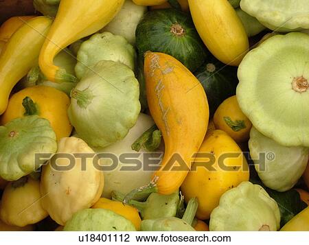 Stock Image -  Montpelier, VT, Vermont, Farmer's Market, Summer Yellow Squash, Patty Pam. Fotosearch