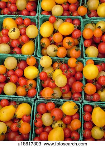 Stock Image -  Montpelier, VT, Vermont, Farmer's Market, Tomatoes. Fotosearch