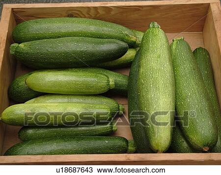Stock Image -  Montpelier, VT, Vermont, Farmer's Market, Zucchini. Fotosearch