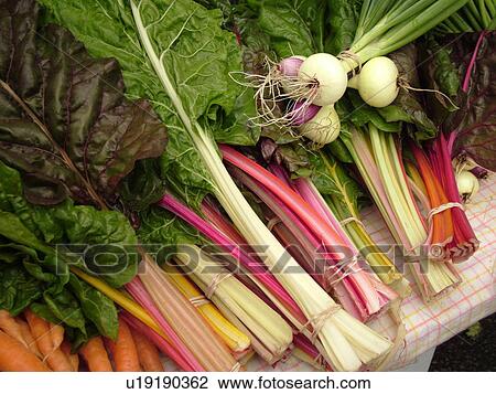 Stock Image -  Montpelier, VT, Vermont, Farmer's Market, Rhubarb, Scallions. Fotosearch