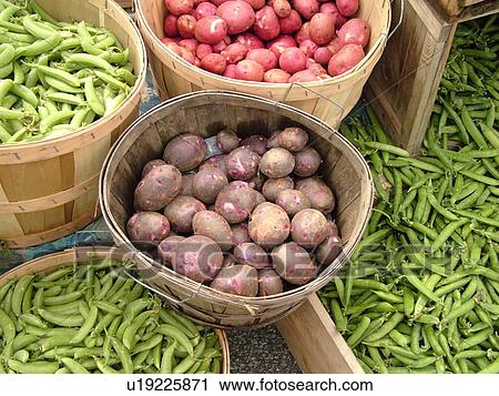 Montpelier, VT, Vermont, Farmer's Market, Potatoes, Shell Peas, Sugar Snap Peas View Large Photo Image Stock Image - Montpelier, VT, Vermont, Farmer's Market, Potatoes, Shell Peas, Sugar Snap Peas. Fotosearch