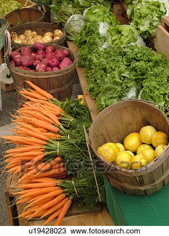 Montpelier, VT, Vermont, Farmer's Market, carrots, bunches, Red Norland Potatoes, Green Leaf Lettuce View Large Photo Image Stock Image - Montpelier, VT, Vermont, Farmer's Market, carrots, bunches, Red Norland Potatoes, Green Leaf Lettuce. Fotosearch