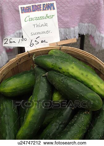 Stock Image -  Montpelier, VT, Vermont, Farmer's Market, Cucumbers. Fotosearch
