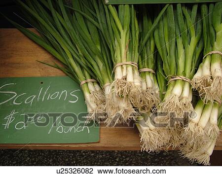 Stock Image -  Montpelier, VT, Vermont, Farmer's Market, Scallions. Fotosearch