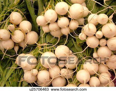 Stock Image -  Montpelier, VT, Vermont, Farmer's Market, Scallions. Fotosearch