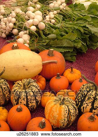 Stock Image -  Montpelier, VT, Vermont, Farmer's Market, Gourds, Pumpkins. Fotosearch