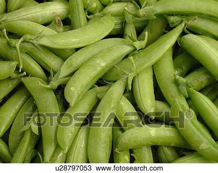 Stock Image -  Montpelier, VT, Vermont, Farmer's Market, sugar snap peas. Fotosearch