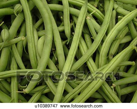 Montpelier, VT, Vermont, Farmer's Market, Green Beans View Large Photo Image Stock Photo - Montpelier, VT, Vermont, Farmer's Market, Green Beans. Fotosearch