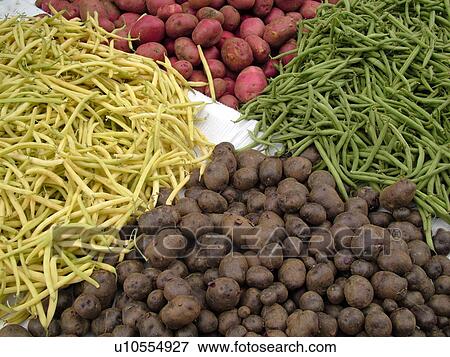 Stock Photo -  Montpelier, VT, Vermont, Farmer's Market, Potatoes, green beans, yellow wax beans. Fotosearch