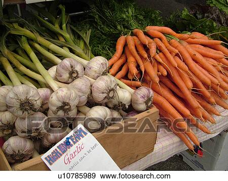 Stock Photo -  Montpelier, VT, Vermont, Farmer's Market, Garlic, Carrots . Fotosearch
