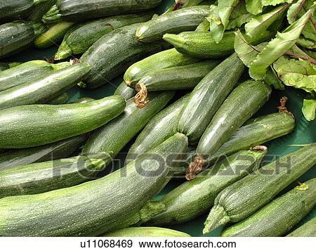 Stock Photo -  Montpelier, VT, Vermont, Farmer's Market, squash, zucchini. Fotosearch