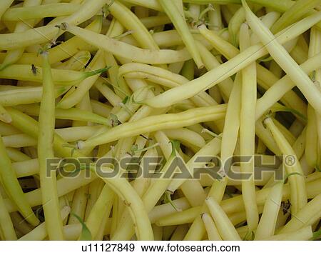 Montpelier, VT, Vermont, Farmer's Market, Yellow wax beans View Large Photo Image Stock Photo - Montpelier, VT, Vermont, Farmer's Market, Yellow wax beans. Fotosearch