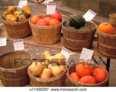Stock Photo -  Montpelier, VT, Vermont, Farmer's Market, Gourds. Fotosearch