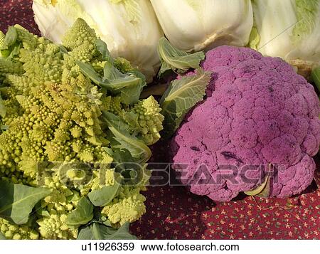 Montpelier, VT, Vermont, Farmer's Market, Cauliflower View Large Photo Image Stock Photo - Montpelier, VT, Vermont, Farmer's Market, Cauliflower. Fotosearch