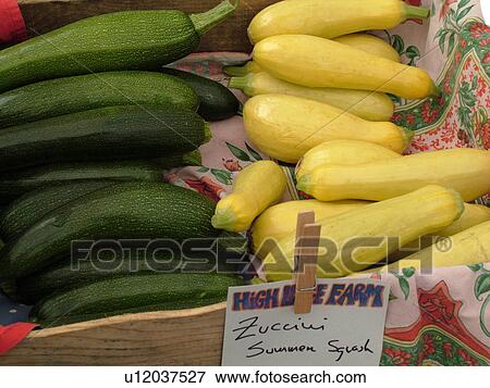 Montpelier, VT, Vermont, Farmer's Market, summer squash, zucchini View Large Photo Image Stock Photo - Montpelier, VT, Vermont, Farmer's Market, summer squash, zucchini. Fotosearch