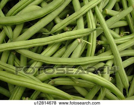 Stock Photo -  Montpelier, VT, Vermont, Farmer's Market, Green Beans. Fotosearch