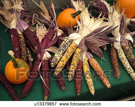 Montpelier, VT, Vermont, Farmer's Market, Indian Corn, pumpkins View Large Photo Image Stock Photo - Montpelier, VT, Vermont, Farmer's Market, Indian Corn, pumpkins. Fotosearch