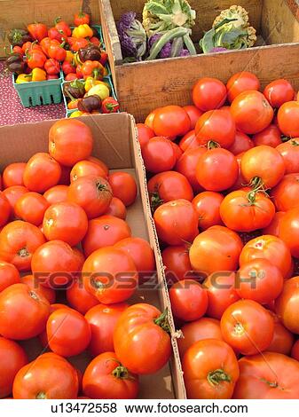 Stock Photo -  Montpelier, VT, Vermont, Farmer's Market, Tomatoes, red. Fotosearch