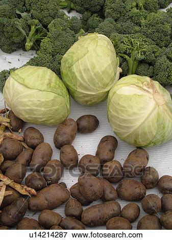 Montpelier, VT, Vermont, Farmer's Market, Potatoes, Cabbage, Broccoli View Large Photo Image Stock Photo - Montpelier, VT, Vermont, Farmer's Market, Potatoes, Cabbage, Broccoli. Fotosearch