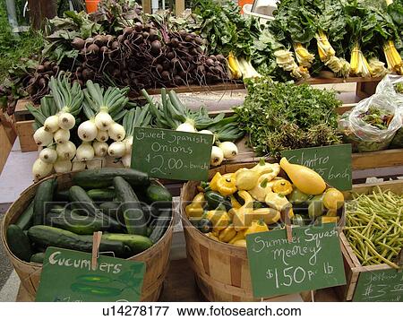 Stock Photo -  Montpelier, VT, Vermont, Farmer's Market, Cucumbers, Summer Squash, Patty Pam, Sweet Spanish Onions. Fotosearch