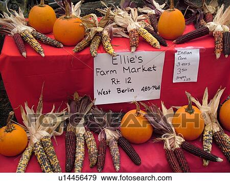 Stock Photo -  Montpelier, VT, Vermont, Farmer's Market, Indian Corn, pumpkins. Fotosearch