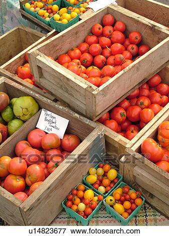Montpelier, VT, Vermont, Farmer's Market, Tomatoes View Large Photo Image Stock Photo - Montpelier, VT, Vermont, Farmer's Market, Tomatoes. Fotosearch