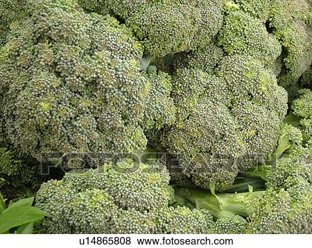 Stock Photo -  Montpelier, VT, Vermont, Farmer's Market, broccoli. Fotosearch