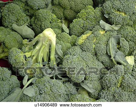 Stock Photo -  Montpelier, VT, Vermont, Farmer's Market, broccoli. Fotosearch