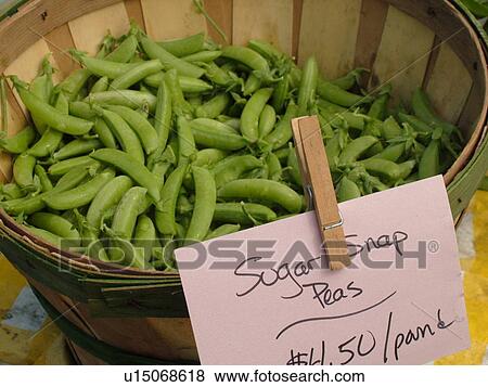 Stock Photo -  Montpelier, VT, Vermont, Farmer's Market, sugar snap peas. Fotosearch