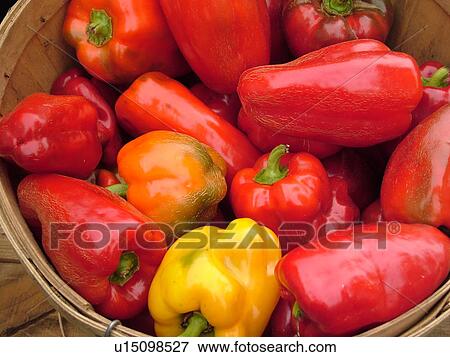 Montpelier, VT, Vermont, Farmer's Market, Sweet Peppers View Large Photo Image Stock Photo - Montpelier, VT, Vermont, Farmer's Market, Sweet Peppers. Fotosearch
