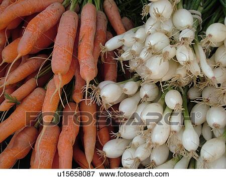 Stock Photo -  Montpelier, VT, Vermont, Farmer's Market, scallions, carrots, bunches. Fotosearch