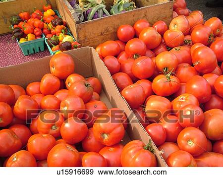 Montpelier, VT, Vermont, Farmer's Market, Tomatoes, red View Large Photo Image Stock Photo - Montpelier, VT, Vermont, Farmer's Market, Tomatoes, red. Fotosearch