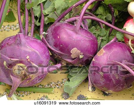 Montpelier, VT, Vermont, Farmer's Market, Kohlrabi View Large Photo Image Stock Photo - Montpelier, VT, Vermont, Farmer's Market, Kohlrabi. Fotosearch
