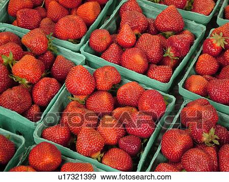 Stock Photo -  Montpelier, VT, Vermont, Farmer's Market, strawberries. Fotosearch