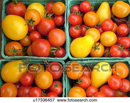 Stock Photo -  Montpelier, VT, Vermont, Farmer's Market, tomatoes. Fotosearch