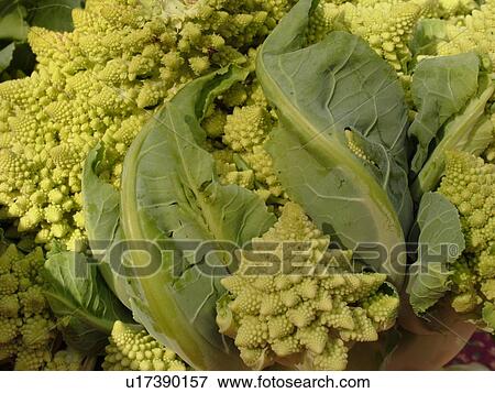 Stock Photo -  Montpelier, VT, Vermont, Farmer's Market, Cauliflower. Fotosearch