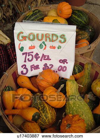 Stock Photo -  Montpelier, VT, Vermont, Farmer's Market, Gourds. Fotosearch