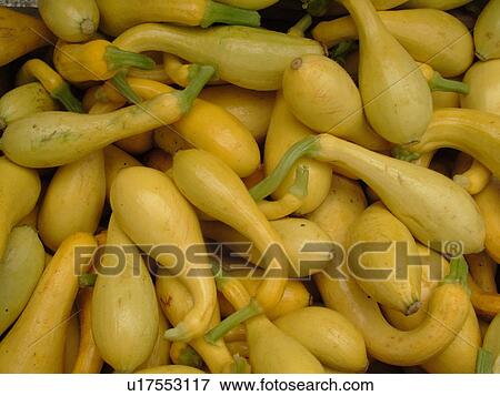 Stock Photo -  Montpelier, VT, Vermont, Farmer's Market, Yellow Summer Squash. Fotosearch