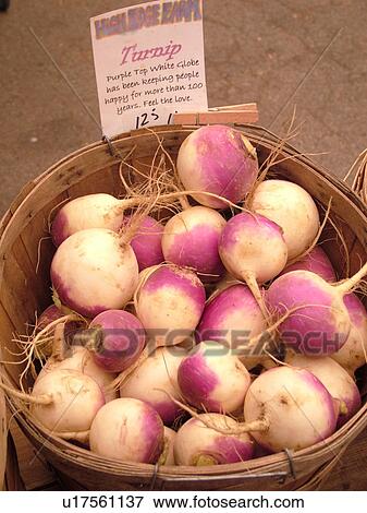 Stock Photo -  Montpelier, VT, Vermont, Farmer's Market, Turnips. Fotosearch