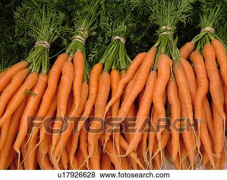 Stock Photo -  Montpelier, VT, Vermont, Farmer's Market, carrots, bunches. Fotosearch
