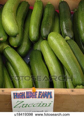 Montpelier, VT, Vermont, Farmer's Market, Zucchini Squash View Large Photo Image Stock Photo - Montpelier, VT, Vermont, Farmer's Market, Zucchini Squash. Fotosearch