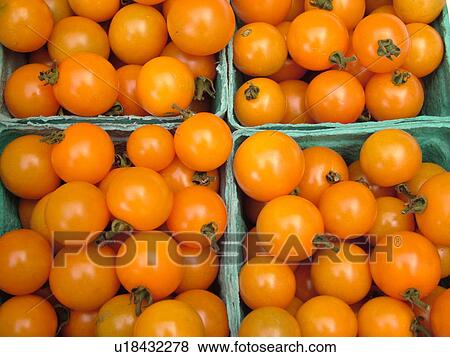 Stock Photo -  Montpelier, VT, Vermont, Farmer's Market, orange, tomatoes. Fotosearch