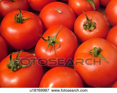 Montpelier, VT, Vermont, Farmer's Market, tomatoes View Large Photo Image Stock Photo - Montpelier, VT, Vermont, Farmer's Market, tomatoes. Fotosearch