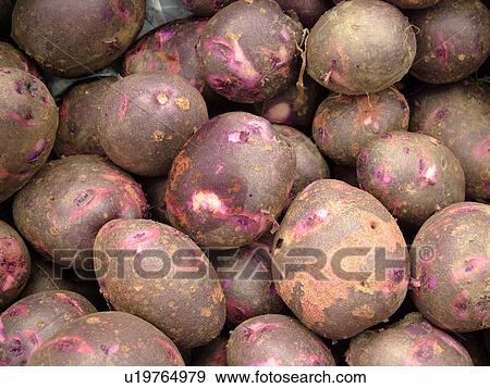 Stock Photo -  Montpelier, VT, Vermont, Farmer's Market, Potatoes. Fotosearch