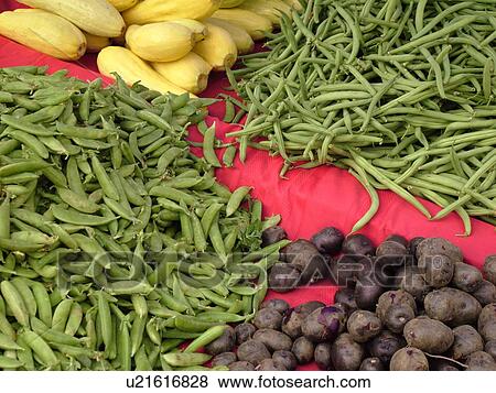 Stock Photo -  Montpelier, VT, Vermont, Farmer's Market, green beans, snap peas, potatoes, squash. Fotosearch