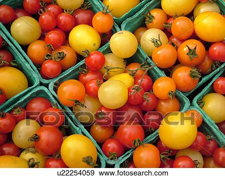 Stock Photo -  Montpelier, VT, Vermont, Farmer's Market, Tomatoes. Fotosearch