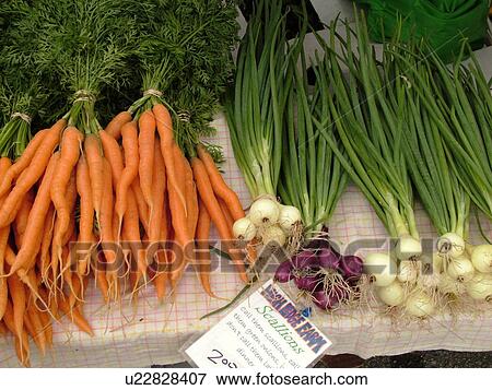 Montpelier, VT, Vermont, Farmer's Market, scallions, carrots, bunches View Large Photo Image Stock Photo -  Montpelier, VT, Vermont, Farmer's Market, scallions, carrots, bunches. Fotosearch